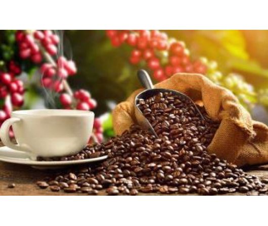 Hương liệu thực phẩm - Hương cà phê