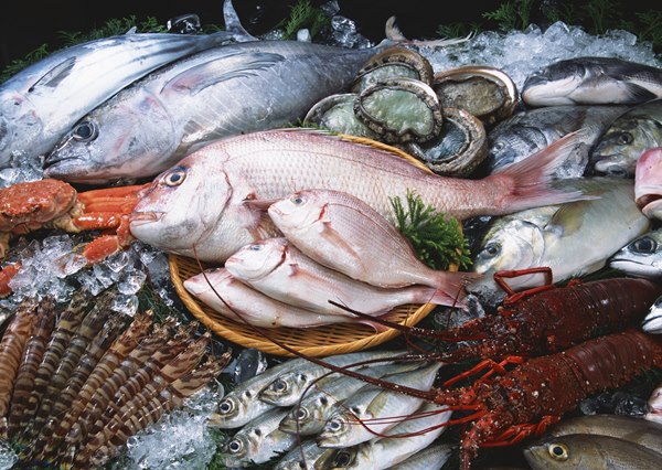 Công ty cung cấp phụ gia chế biến thịt cá tại Đà Nẵng